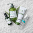 MIMPI HEADSPA 2024 10 237400246